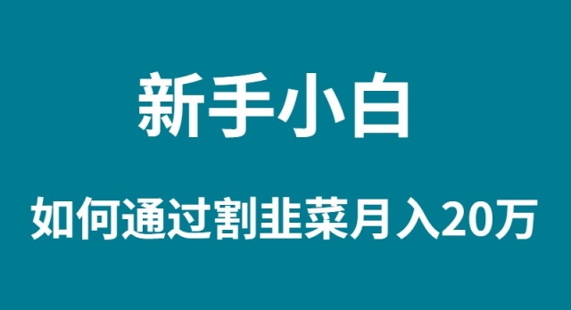 新手小白如何通过割韭菜月入 20W跨境课程-外贸教程-精品网课-电商运营课库课堂
