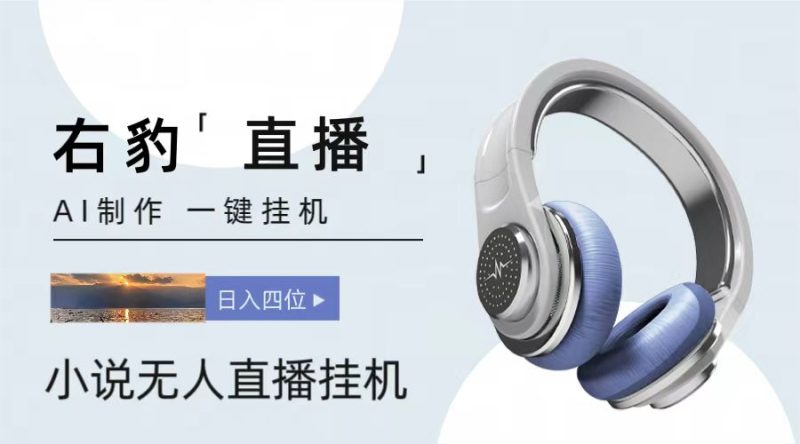 右豹小说无人直播挂机吸金项目，简单易行收益稳定， 月入1000+跨境课程-外贸教程-精品网课-电商运营课库课堂