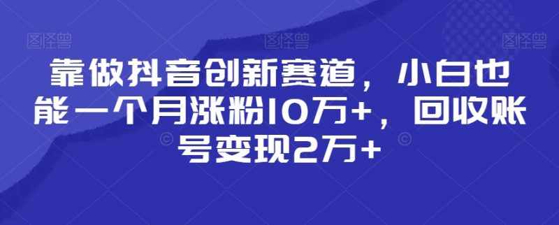 靠做抖音创新赛道，小白也能一个月涨粉10万+，回收账号变现2万+跨境课程-外贸教程-精品网课-电商运营课库课堂