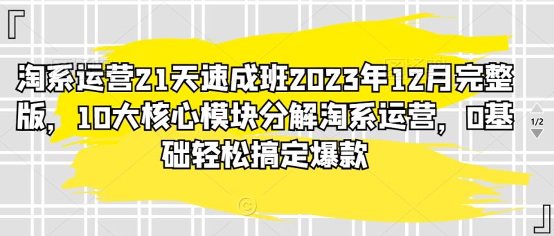 淘系运营21天速成班2023年12月完整版，10大核心模块分解淘系运营，0基础轻松搞定爆款跨境课程-外贸教程-精品网课-电商运营课库课堂