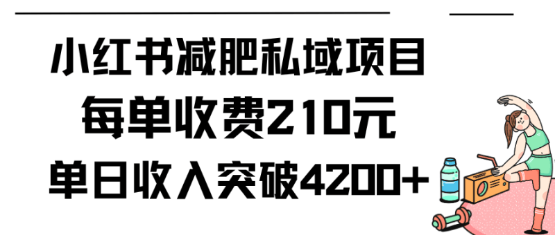 小红书减肥私域项目每单收费210元单日成交20单，最高日入4200+跨境课程-外贸教程-精品网课-电商运营课库课堂