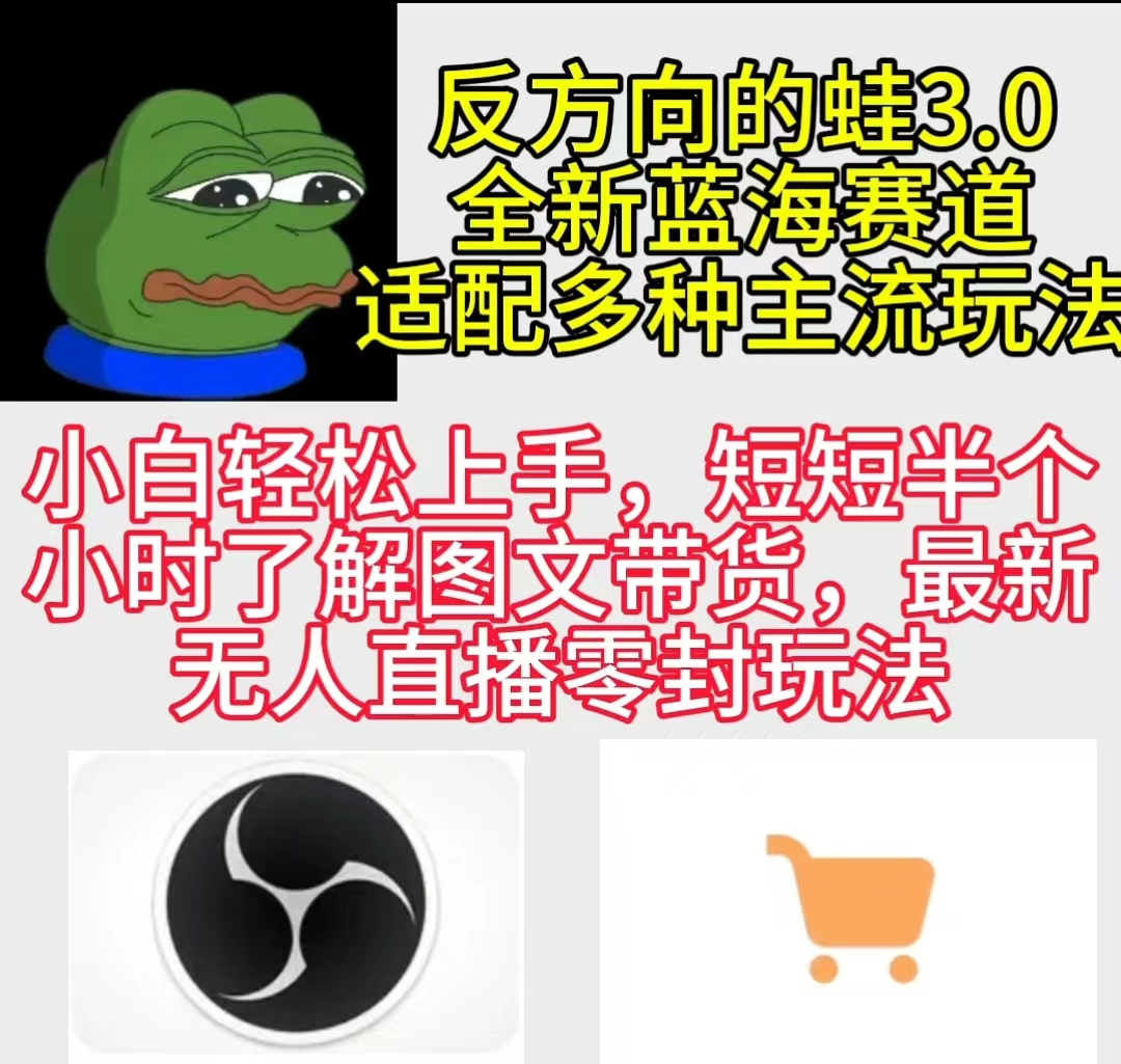 反方向的蛙3.0，图文最新玩法，变现多元化，新蓝海项目，小白轻松上手跨境课程-外贸教程-精品网课-电商运营课库课堂