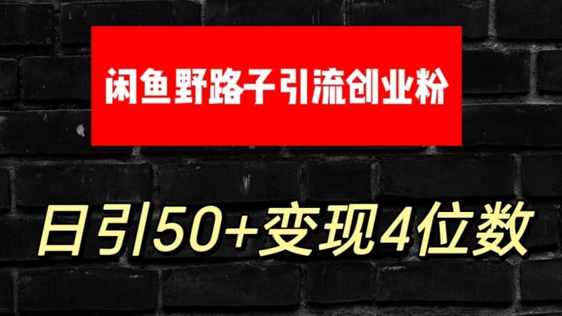 大眼闲鱼野路子引流创业粉，日引50+单日变现四位数跨境课程-外贸教程-精品网课-电商运营课库课堂