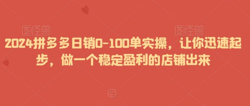 2024拼多多日销0-100单实操，让你迅速起步，做一个稳定盈利的店铺出来跨境课程-外贸教程-精品网课-电商运营课库课堂