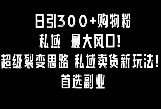 日引300+购物粉，超级裂变思路，私域卖货新玩法，小红书首选副业跨境课程-外贸教程-精品网课-电商运营课库课堂