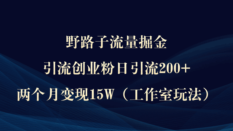 野路子流量掘金,引流创业粉日引流200+,两个月变现15W(工作室玩法))跨境课程-外贸教程-精品网课-电商运营课库课堂