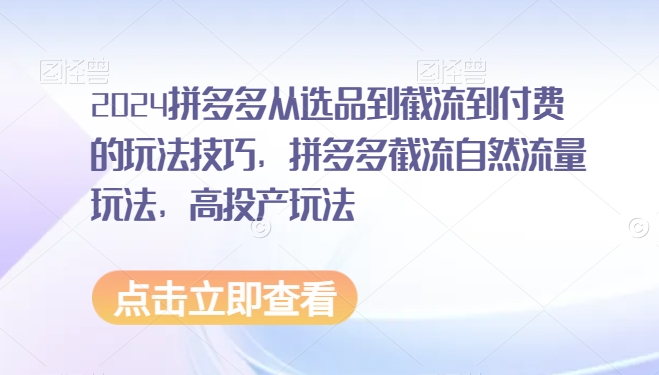 2024拼多多从选品到截流到付费的玩法技巧，拼多多截流自然流量玩法，高投产玩法跨境课程-外贸教程-精品网课-电商运营课库课堂
