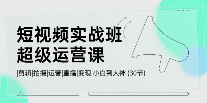 短视频实战班超级运营课 |剪辑|拍摄|运营|直播|变现 小白到大神 (30节)跨境课程-外贸教程-精品网课-电商运营课库课堂