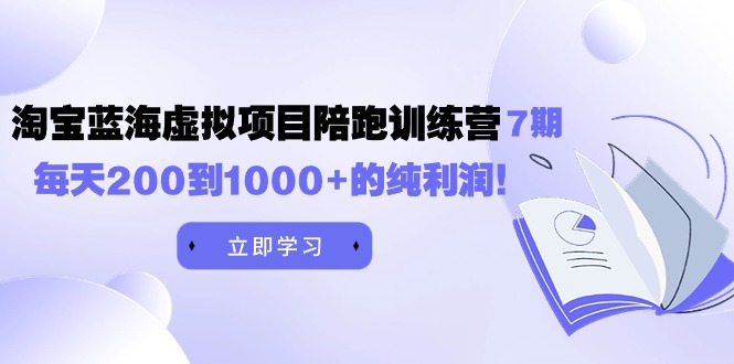 黄岛主《淘宝蓝海虚拟项目陪跑训练营7期》每天200到1000+的纯利润跨境课程-外贸教程-精品网课-电商运营课库课堂
