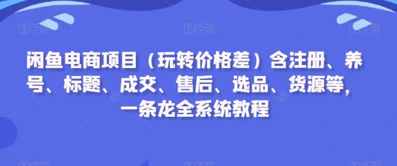 闲鱼电商项目（玩转价格差）含注册、养号、标题、成交、售后、选品、货源等，一条龙全系统教程跨境课程-外贸教程-精品网课-电商运营课库课堂