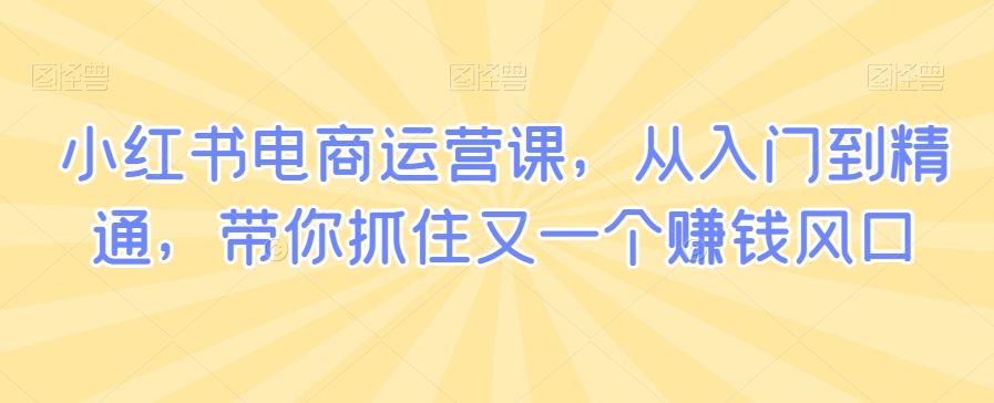 小红书电商运营课，从入门到精通，带你抓住又一个赚钱风口跨境课程-外贸教程-精品网课-电商运营课库课堂