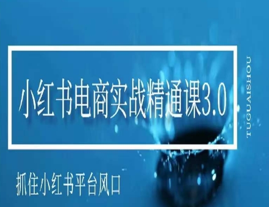 小红书电商实战精通课3.0，抓住小红书平台的风口，不错过有一个赚钱的机会跨境课程-外贸教程-精品网课-电商运营课库课堂