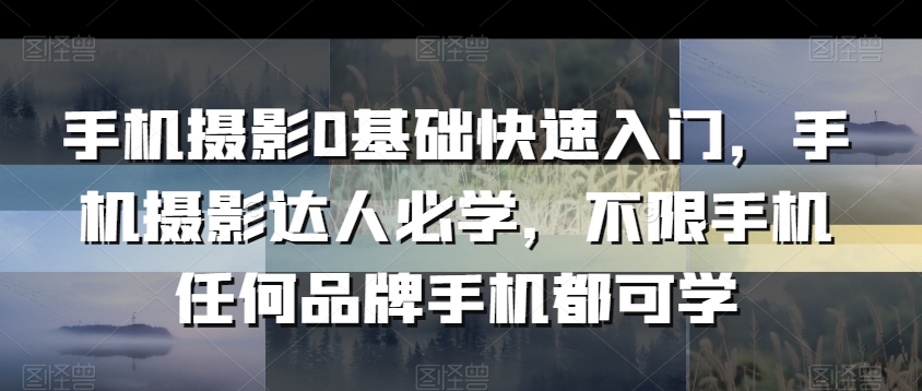 手机摄影0基础快速入门，手机摄影达人必学，不限手机任何品牌手机都可学跨境课程-外贸教程-精品网课-电商运营课库课堂