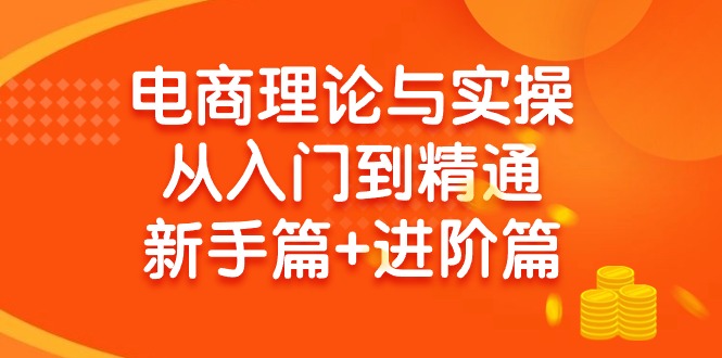 电商理论与实操从入门到精通 新手篇+进阶篇跨境课程-外贸教程-精品网课-电商运营课库课堂