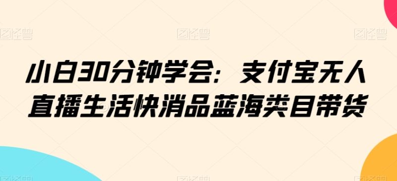 小白30分钟学会：支付宝无人直播生活快消品蓝海类目带货跨境课程-外贸教程-精品网课-电商运营课库课堂