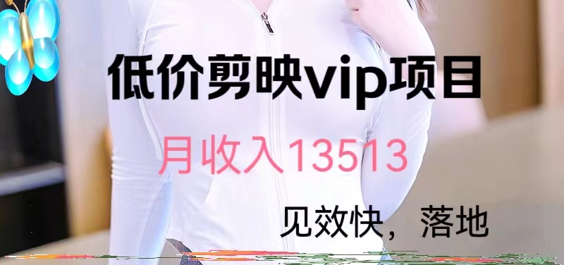 揭秘低价剪映VIP项目，月入13000+跨境课程-外贸教程-精品网课-电商运营课库课堂