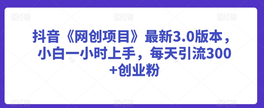 抖音《网创项目》最新3.0版本，小白一小时上手，每天引流300+创业粉跨境课程-外贸教程-精品网课-电商运营课库课堂