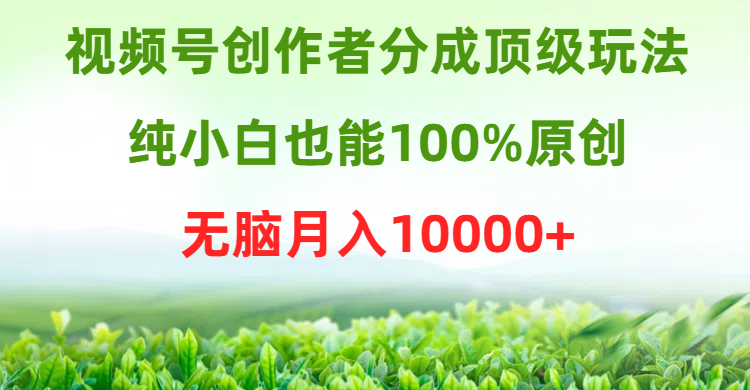 视频号创作者分成顶级玩法，纯小白也能100%原创，无脑月入10000+跨境课程-外贸教程-精品网课-电商运营课库课堂