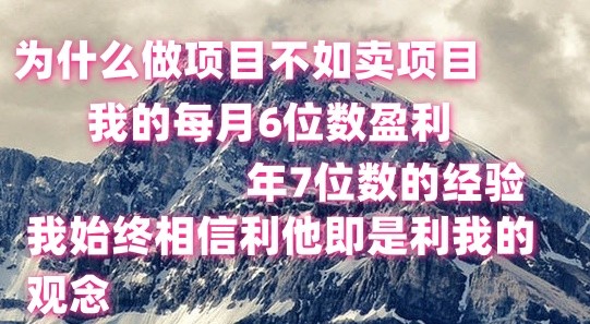 做项目不如卖项目，每月6位数盈利，年7位数经验跨境课程-外贸教程-精品网课-电商运营课库课堂