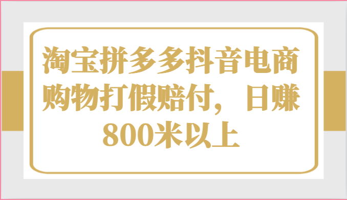 淘宝拼多多抖音电商购物打假赔付，日赚800米以上跨境课程-外贸教程-精品网课-电商运营课库课堂