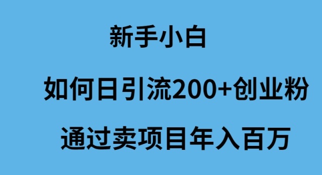 新手小白如何日引流200+创业粉通过卖项目年入百万跨境课程-外贸教程-精品网课-电商运营课库课堂