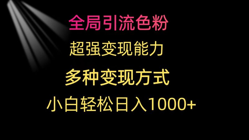 全局引流色粉 超强变现能力 多种变现方式 小白轻松日入1000+跨境课程-外贸教程-精品网课-电商运营课库课堂