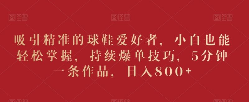 吸引精准的球鞋爱好者，小白也能轻松掌握，持续爆单技巧，5分钟一条作品，日入800+跨境课程-外贸教程-精品网课-电商运营课库课堂