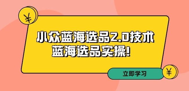 拼多多培训第33期：小众蓝海选品2.0技术-蓝海选品实操！跨境课程-外贸教程-精品网课-电商运营课库课堂