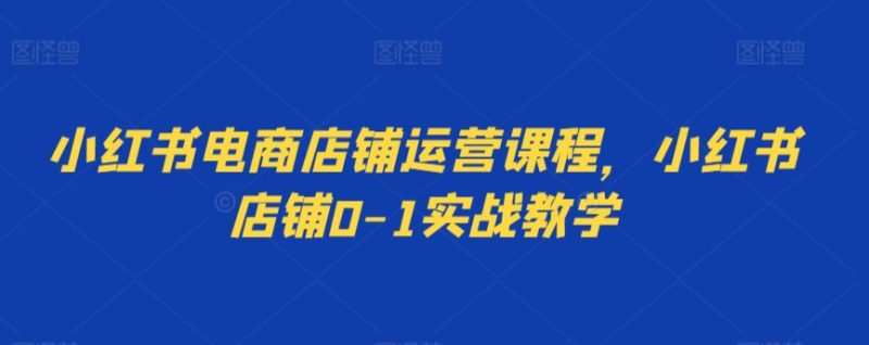 小红书电商店铺运营课程，小红书店铺0-1实战教学跨境课程-外贸教程-精品网课-电商运营课库课堂