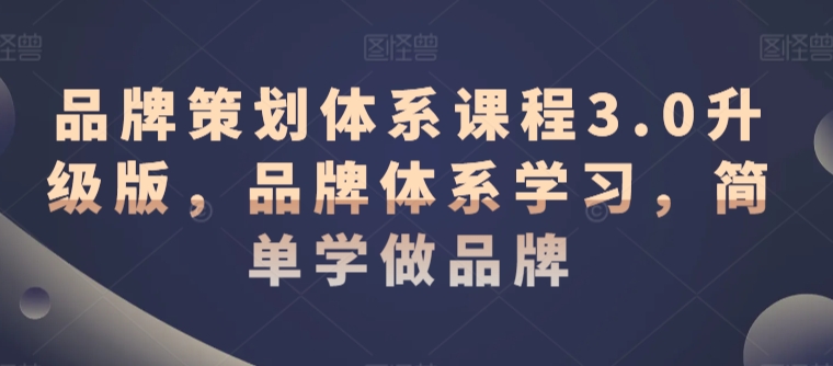 品牌策划体系课程3.0升级版，品牌体系学习，简单学做品牌跨境课程-外贸教程-精品网课-电商运营课库课堂
