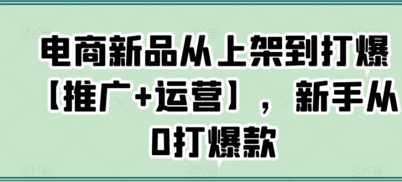电商新品从上架到打爆【推广+运营】,新手从0打爆款跨境课程-外贸教程-精品网课-电商运营课库课堂