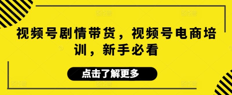 视频号剧情带货，视频号电商培训，新手必看跨境课程-外贸教程-精品网课-电商运营课库课堂