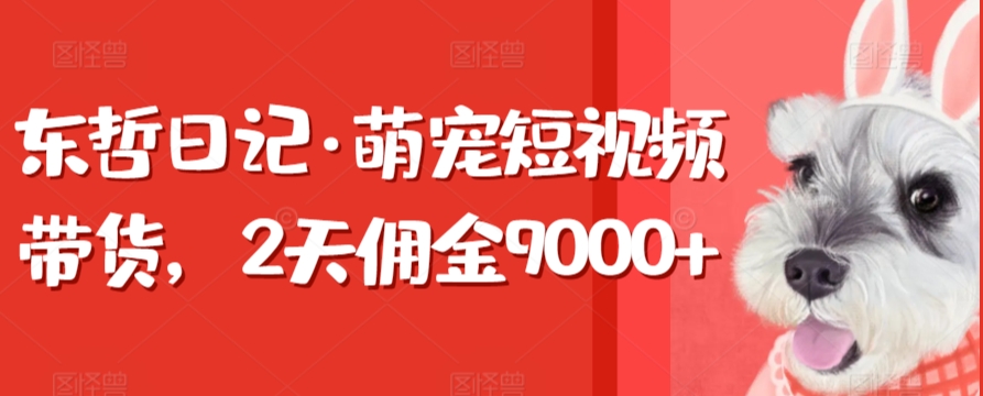 东哲日记·萌宠短视频带货，2天佣金9000+跨境课程-外贸教程-精品网课-电商运营课库课堂