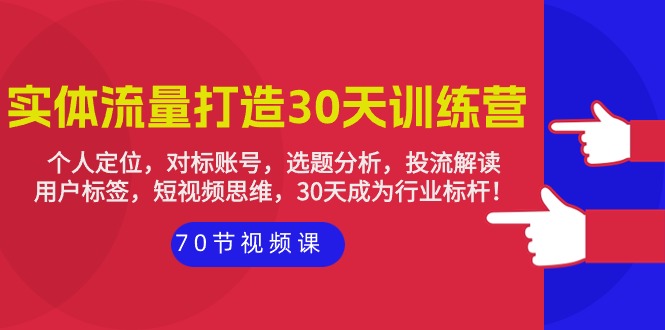 实体-流量打造-30天训练营：个人定位，对标账号，选题分析，投流解读-70节跨境课程-外贸教程-精品网课-电商运营课库课堂