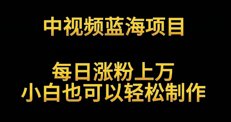 中视频蓝海项目，解读英雄人物生平，每日涨粉上万，小白也可以轻松制作，月入过万不是梦跨境课程-外贸教程-精品网课-电商运营课库课堂