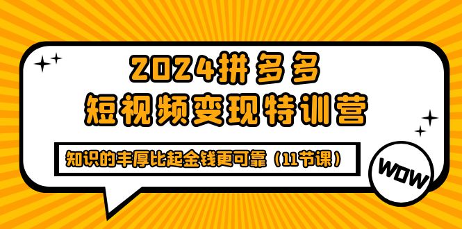2024拼多多短视频变现特训营，知识的丰厚比起金钱更可靠（11节课）跨境课程-外贸教程-精品网课-电商运营课库课堂
