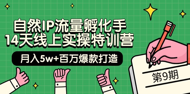 自然IP流量孵化手 14天线上实操特训营【第9期】月入5w+百万爆款打造 (74节)跨境课程-外贸教程-精品网课-电商运营课库课堂