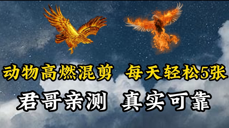 动物超燃混剪，每天轻松5张，剪辑简单大家爱看跨境课程-外贸教程-精品网课-电商运营课库课堂
