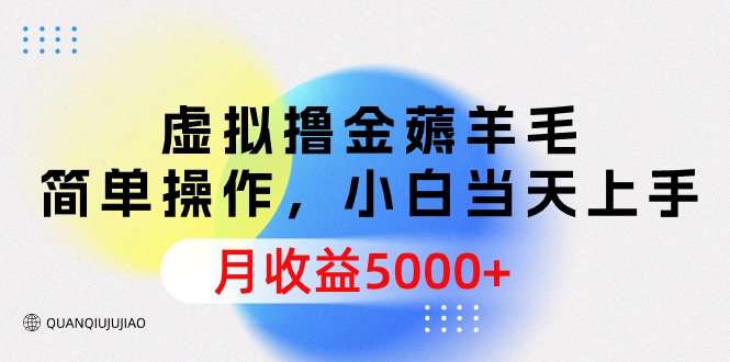 虚拟撸金薅羊毛，简单操作，小白当天上手，月收益5000+跨境课程-外贸教程-精品网课-电商运营课库课堂