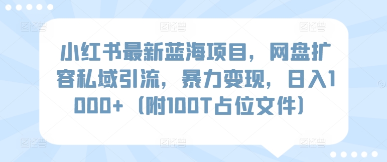 小红书最新蓝海项目，网盘扩容私域引流，暴力变现，日入1000+（附100T占位文件）跨境课程-外贸教程-精品网课-电商运营课库课堂