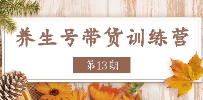 养生号带货训练营【第13期】收益更稳定的玩法，让你带货收益爆炸跨境课程-外贸教程-精品网课-电商运营课库课堂