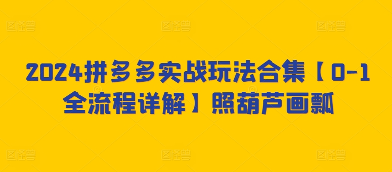 2024拼多多实战玩法合集【0-1全流程详解】照葫芦画瓢跨境课程-外贸教程-精品网课-电商运营课库课堂