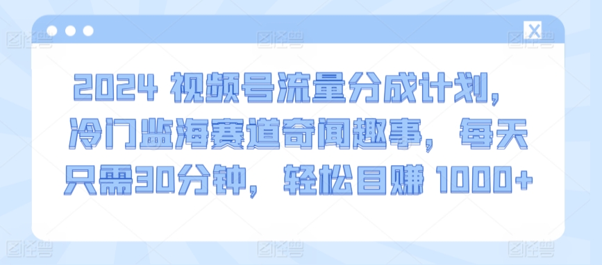 2024视频号流量分成计划，冷门监海赛道奇闻趣事，每天只需30分钟，轻松目赚 1000+跨境课程-外贸教程-精品网课-电商运营课库课堂
