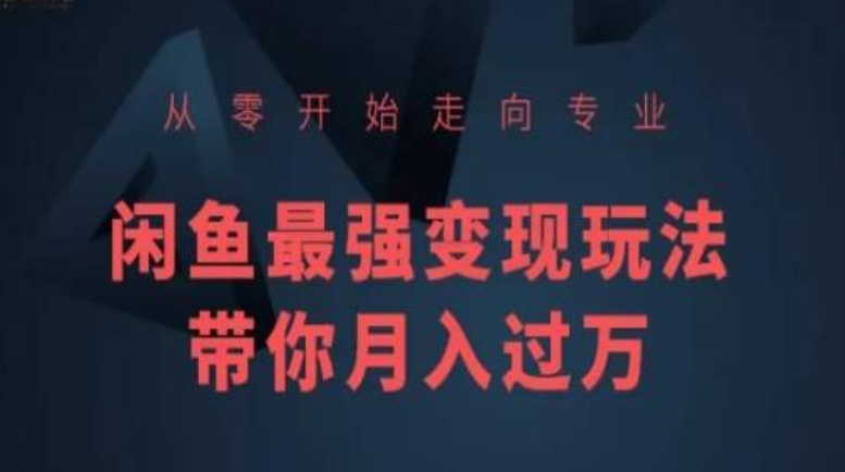 从零开始走向专业，闲鱼最强变现玩法带你月入过万跨境课程-外贸教程-精品网课-电商运营课库课堂