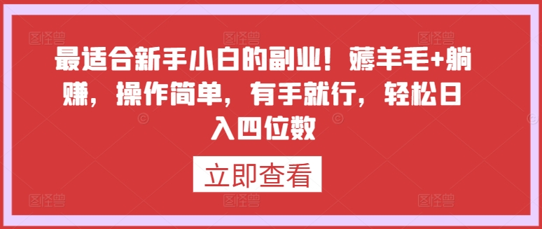 最适合新手小白的副业！薅羊毛+躺赚，操作简单，有手就行，轻松日入四位数跨境课程-外贸教程-精品网课-电商运营课库课堂