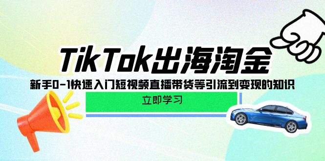 TikTok-出海淘金，新手0-1快速入门短视频直播带货等引流到变现的知识跨境课程-外贸教程-精品网课-电商运营课库课堂
