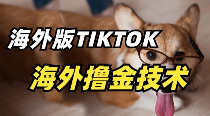 抖音海外版tiktok撸金技术，这个风口行业，赚钱真的不难跨境课程-外贸教程-精品网课-电商运营课库课堂