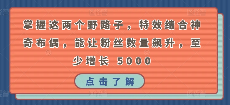 掌握这两个野路子，特效结合神奇布偶，能让粉丝数量飙升，至少增长 5000跨境课程-外贸教程-精品网课-电商运营课库课堂