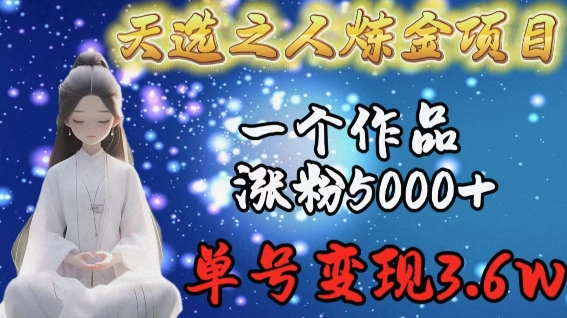 天选之人炼金项目，一个作品涨粉5000+，单号变现3.6w跨境课程-外贸教程-精品网课-电商运营课库课堂