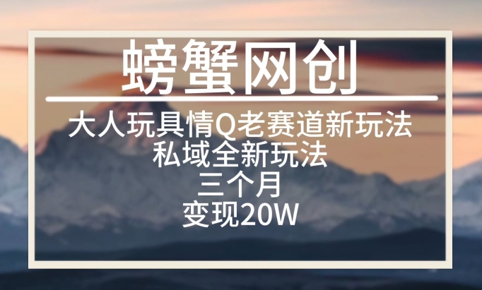 大人玩具情Q用品赛道私域全新玩法，三个月变现20W，老项目新思路跨境课程-外贸教程-精品网课-电商运营课库课堂